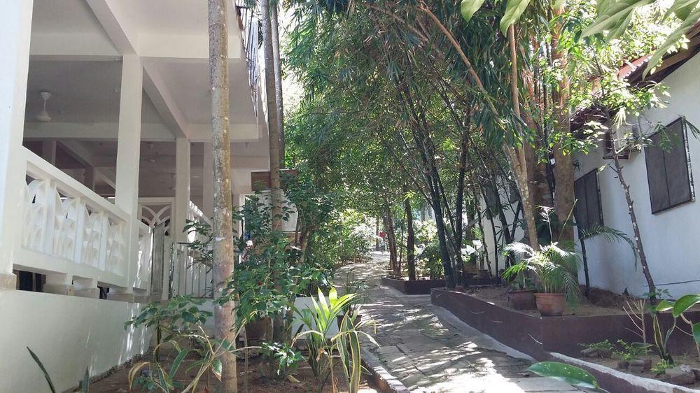 Perhentian Tropicana Inn Pulau Perhentian Kecil Zewnętrze zdjęcie